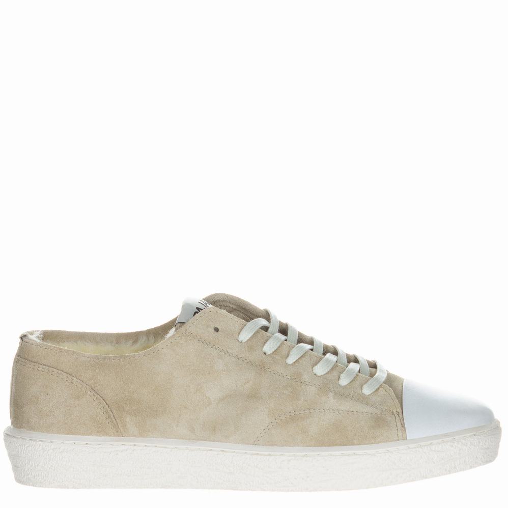 Beige Men\'s Pajar Braun Sneakers | HTI5645VZ