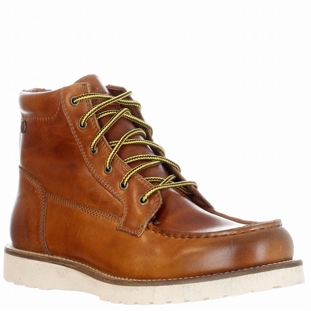 Brown Men's Pajar Logger Boots | DNF2779CD