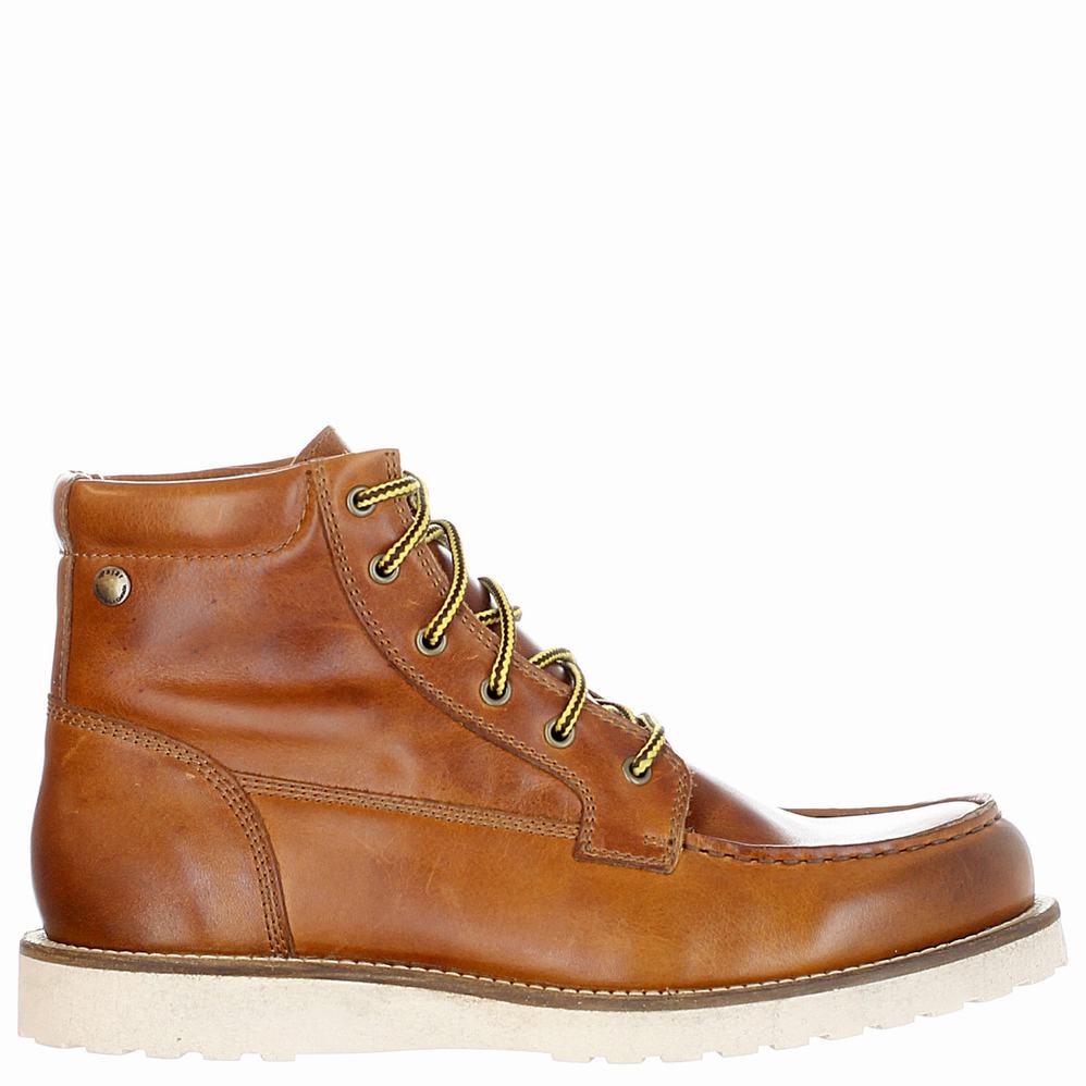 Brown Men\'s Pajar Logger Boots | DNF2779CD