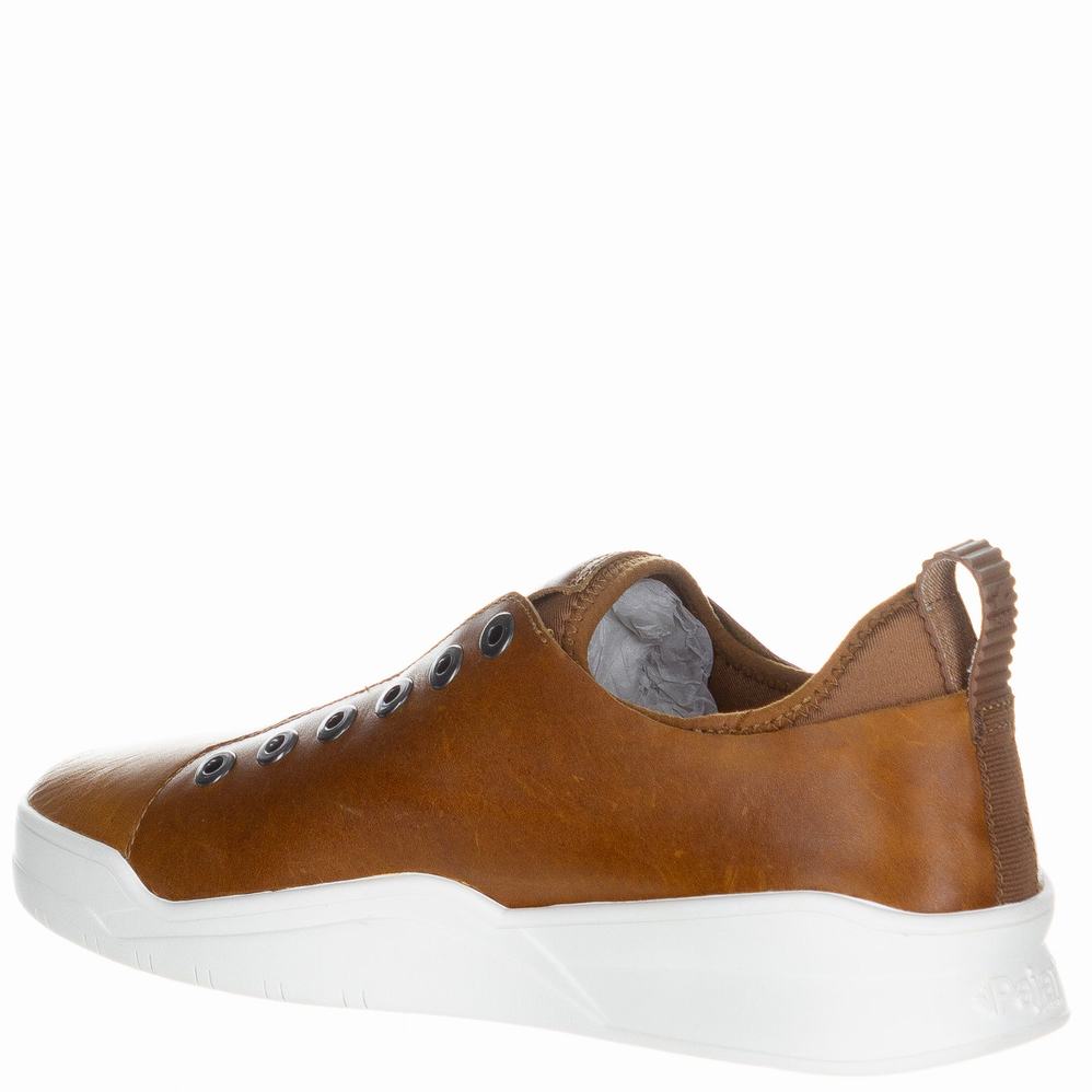 Brown Men's Pajar Yuron2 Sneakers | VZW8289GU