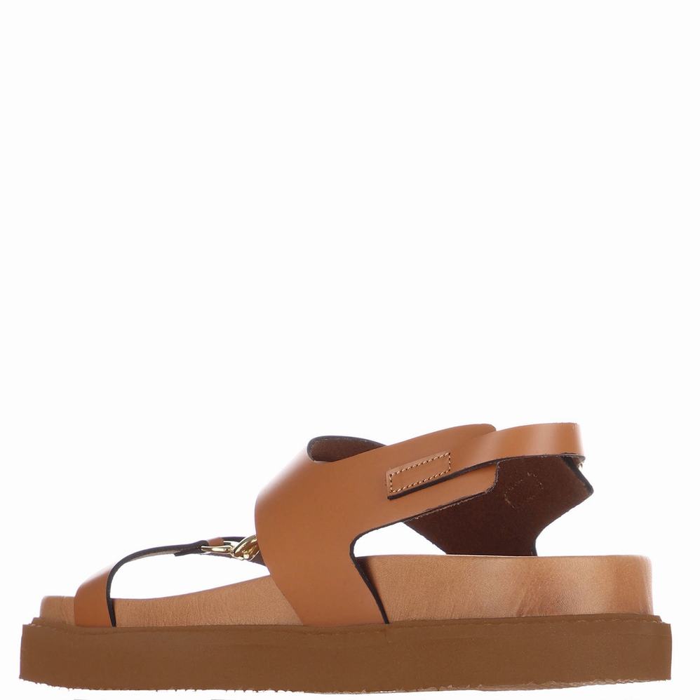 Brown Women's Pajar Romana Sandals | OPA4340JH