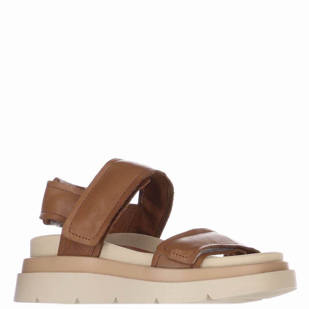 Brown Women's Pajar Stana Sandals | NWR9822VL