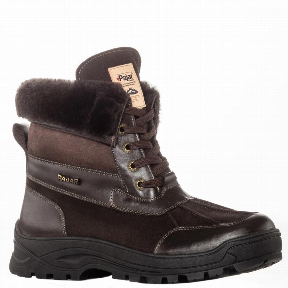 Dark Brown Men's Pajar Clermont G Ice Gripper Winter Boots | DGK932XN