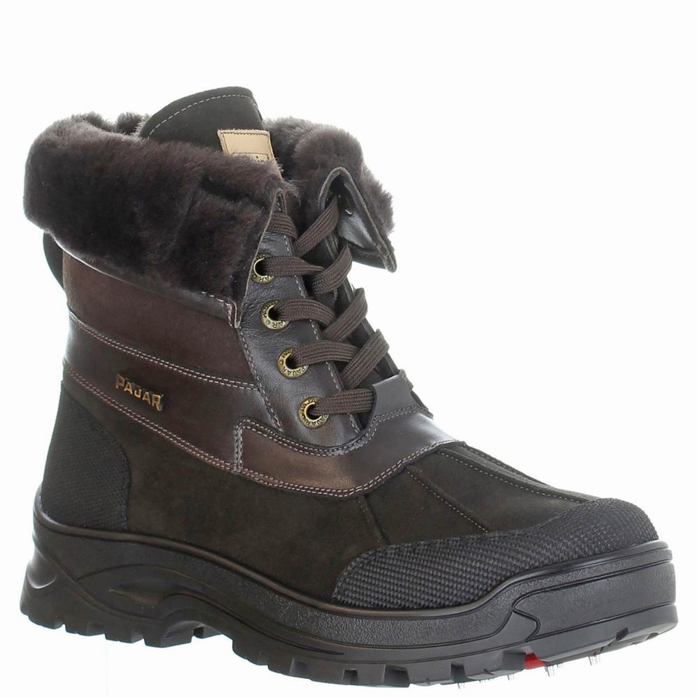 Dark Brown Men's Pajar Malcolm Ice Gripper Winter Boots | CLV8127KB