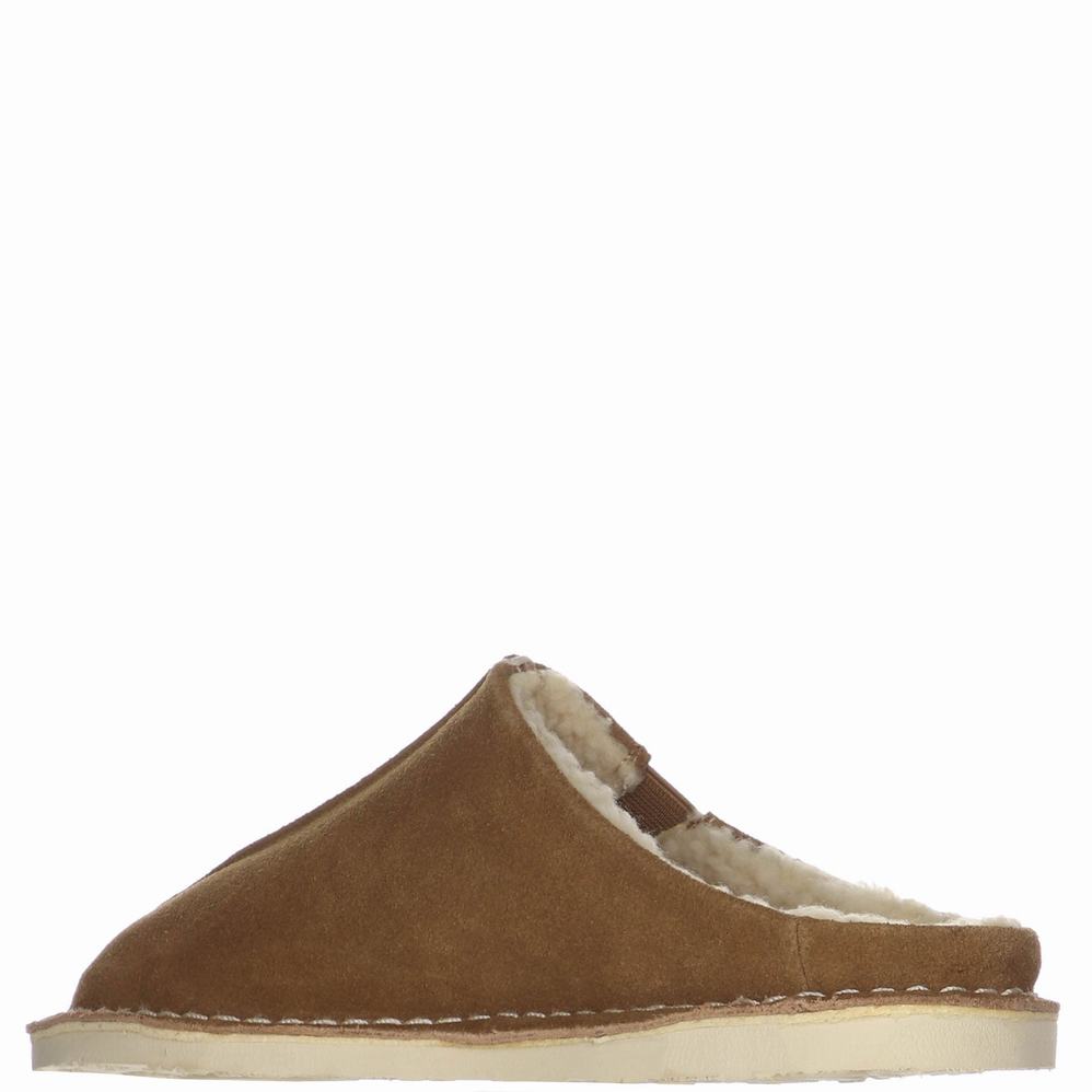 Khaki Men's Pajar Muller Slippers | OLV7942RQ