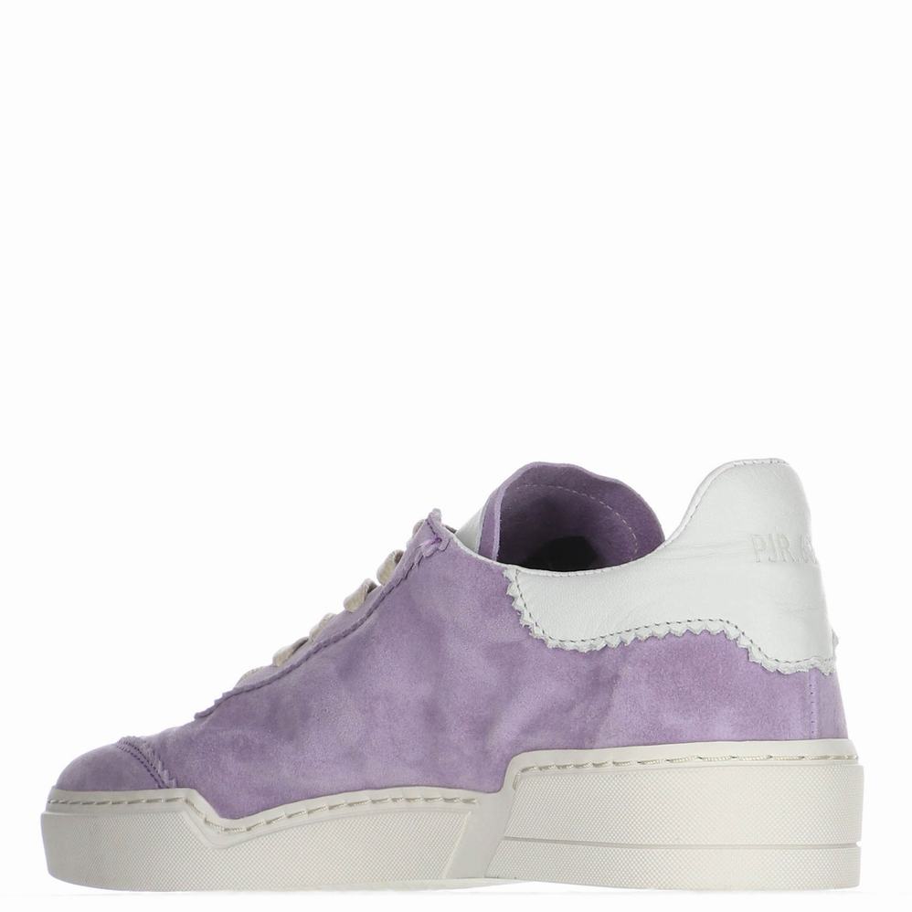 Purple Women's Pajar Geda Sneakers | JOV6938FT