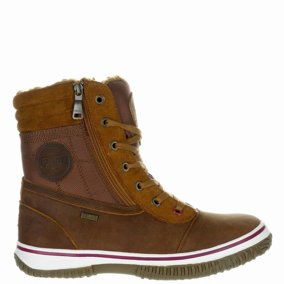 Brown Men's Pajar Trooper 2.0 Ice Gripper Winter Boots | NMD9815XS