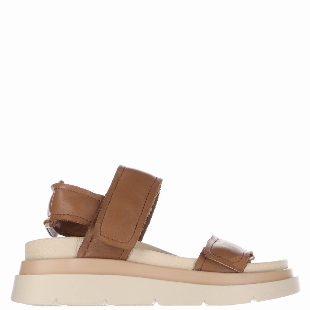 Brown Women's Pajar Stana Sandals | NWR9822VL